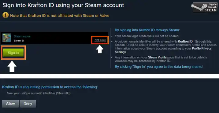 Steam authorization page